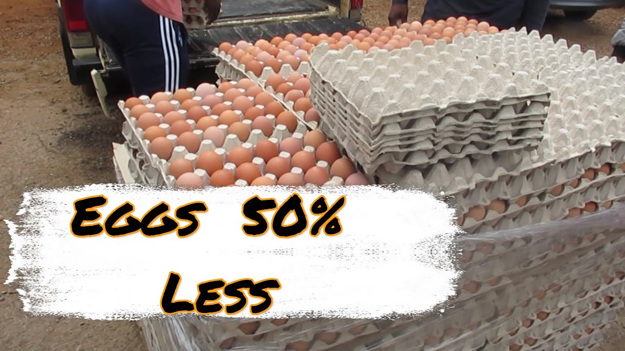 Яйца у поставщиков на 50% дешевле, чем в крупных супермаркетах.