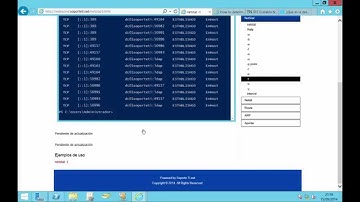 RedesCMD - El comando netstat -t
