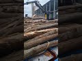 Измельчение древесины барабанной дробилкой Скорпион 650 для получения топливной щепы из отходов