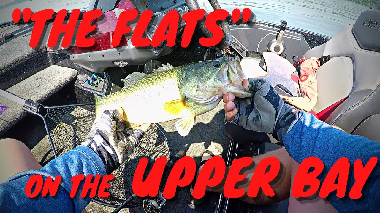 Catching Bass on the Upper Chesapeake Bay Grass Flats! 