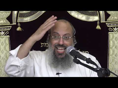 פרשת בהעלותך | להזדהות עם הכשלון | להתפלש בלכלוך