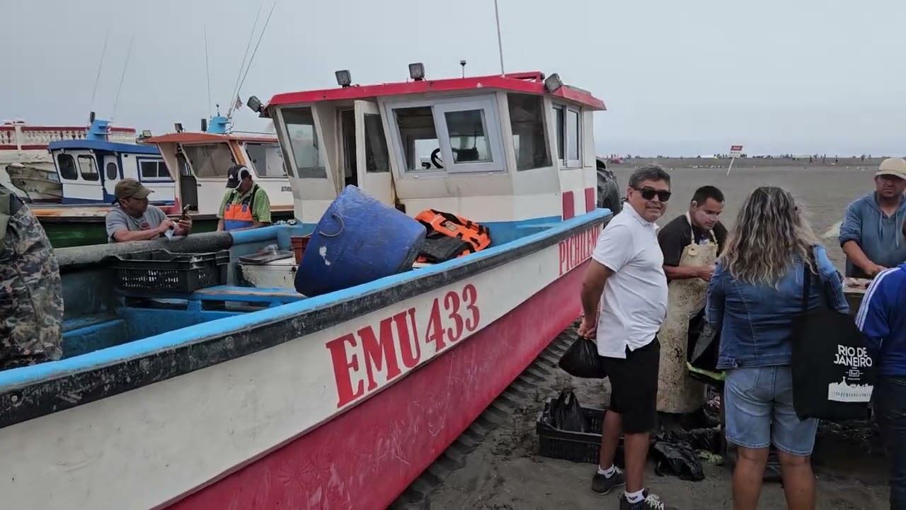 Fresh fish from the boat, nothing like it! Captain is personally stacking the net afterwards. 