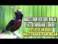 MASTERAN KOLIBRI NINJA FULL TEMBAKAN ISIAN LOMBA 99% COCOK BUAT MASTERAN DAN PANCINGAN KONIN APAPUN