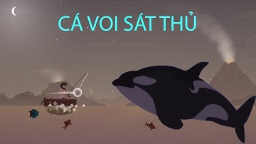 Casting away #4: Bắt cá voi sát thủ