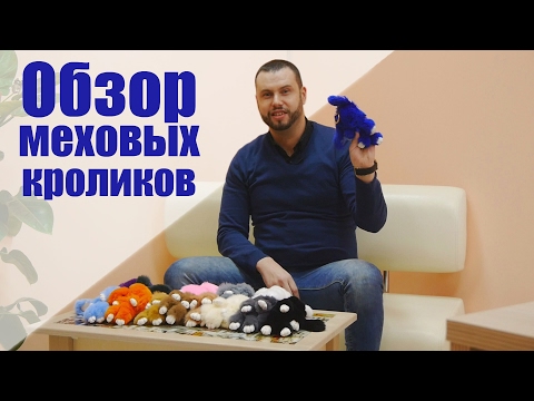Обзор меховых кроликов Обзор меховых кроликов