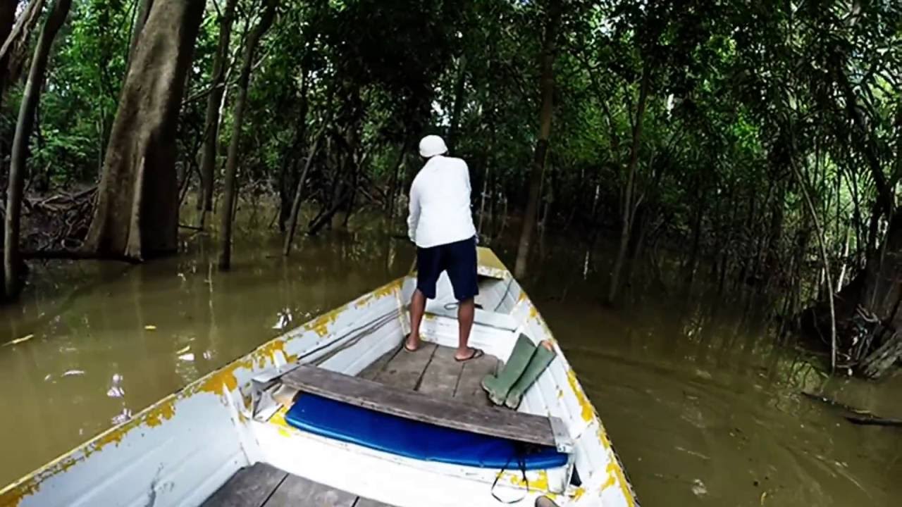 Amazon Peru Otorongo Lodge
