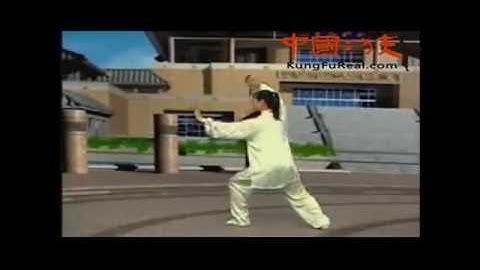 learn tai chi video-- tai chi master wu amin tai chi 24 practice