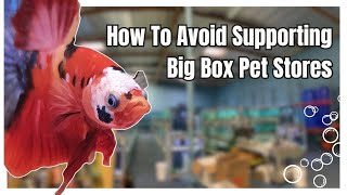 How To Avoid Supporting Big Box Pet Stores