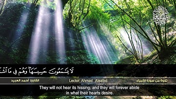 وما أرسلناك إلا رحمة للعالمين / من أجمل الأصوات القارئ أحمد العبيد HD