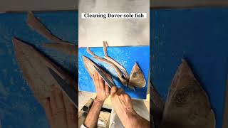 How to clean Dover sole fish #fish #cooking #foodie #cleaningfish #fishing #condiments #kitchen