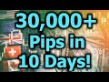 Weekly Forex Trading Group Results  30,000+ Pips  CALL ...