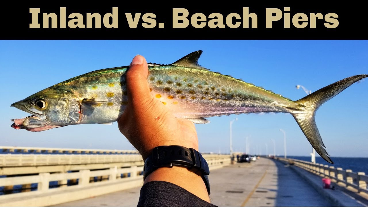 What The Best Type Of Pier To Fish Is (And Catch More Fish)