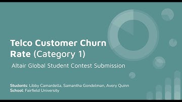 Altair Competition -- Telco Customer Churn