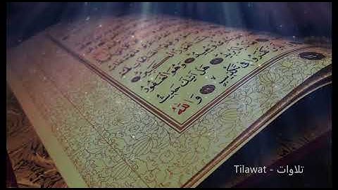 القارئ مؤيد المزين -  تلاوات خاشعة