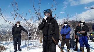 20210114長野県果樹研究会リンゴ部会1324〜半ワイ化剪定交流会・剪定方針、果樹試験場