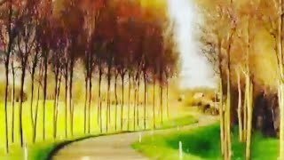 Cox Super Mahni, Qemli Mahnilar Status Ucun, Qemli Mahnilar Aglamali, Qemli Mahnilar Status,