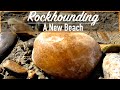 Found A HUGE AGATE Rockhounding a New Beach | Rock Hunting on the Yellowstone River | River Treasure