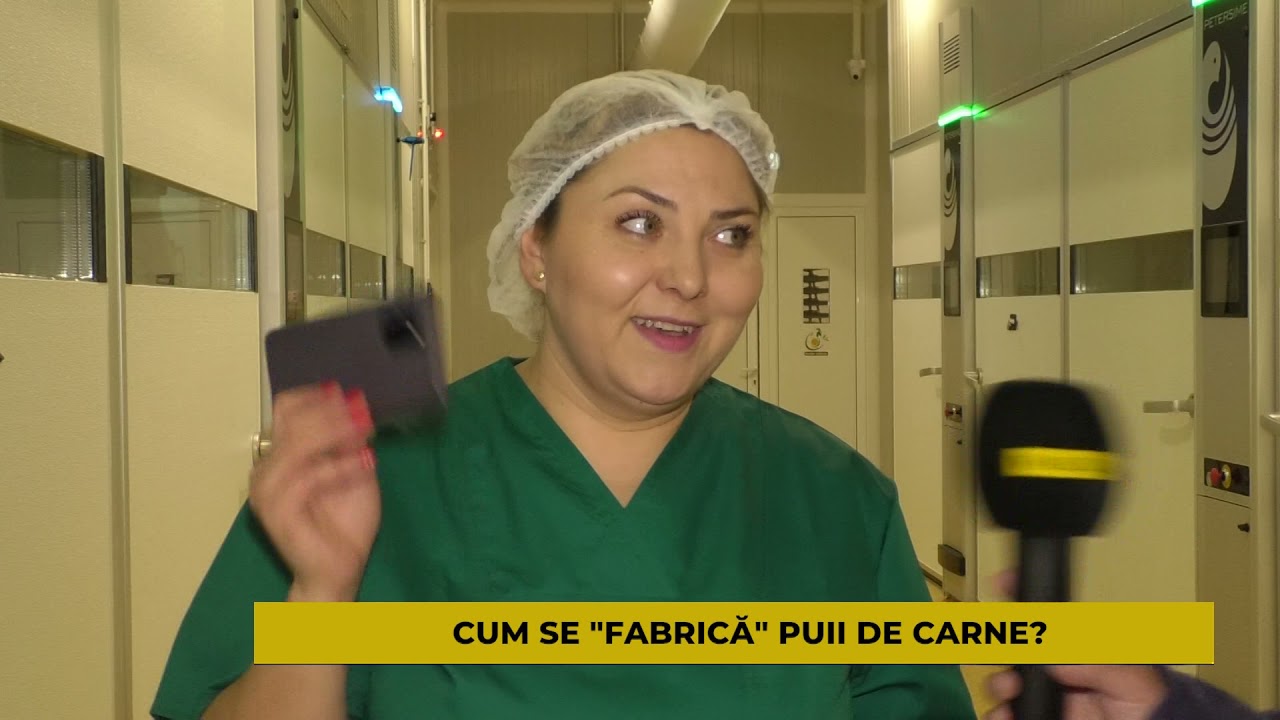 CUM SE FABRICA PUII DE CARNE?