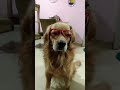 Nazar se kaise bache?🤔🧐#ViralReel #TrendingReels #DesiSwag #Reel #ShortsViral #new#TenMillion#shorts