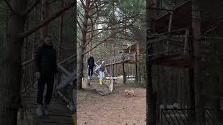 Подробнее @novo_okatovo #психология #путешествия #glamping #отдых #собака #отношения #баня