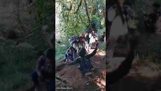 kowe tak sayang sayang