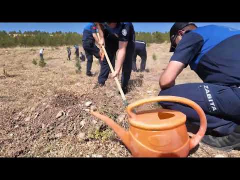 BAŞKAN BÜYÜKKILIÇ’TAN ZABITA HAFTASI DOLAYISIYLA ANLAMLI FİDAN DİKİM ETKİNLİĞİ