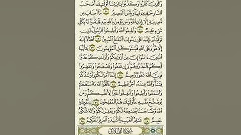 سورة التغابن من الآية ١٠ إلى الآية ١٨بصوت القارئ ماهر المعيقلي