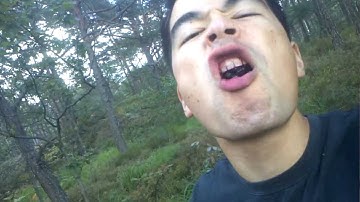 "Blueberries I like" by z2sam