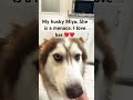 Hope u ok from your dog. I’ve had the same happen to me #pets