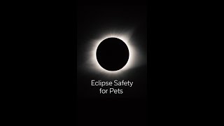 Eclipse Safety – Pet Owner Tips!