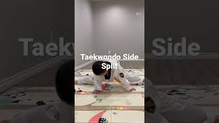 Taekwondo— How to do side split