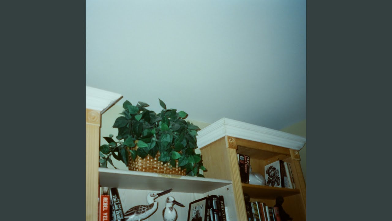 Watch weeping willow on YouTube Watch weeping willow on YouTube