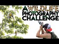The HARDEST Place for Wildlife Photography?