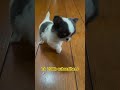Don’t leave me please