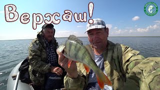 видео: ОТВОДНОЙ ПОВОДОК, ВЕРТУШКА, СДЕЛАЛИ НАШУ РЫБАЛКУ! СУДАК, ОКУНЬ, ЩУКА, ЭТОГО МЫ НЕОЖИДАЛИ, КАЗАХСТАН! картинка: ОТВОДНОЙ ПОВОДОК, ВЕРТУШКА, СДЕЛАЛИ НАШУ РЫБАЛКУ! СУДАК, ОКУНЬ, ЩУКА, ЭТОГО МЫ НЕОЖИДАЛИ, КАЗАХСТАН!