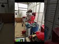 More POWER from the TURBO HONDA SCOOTER !! #custom #unique #whynot #homemade #original #dragrace