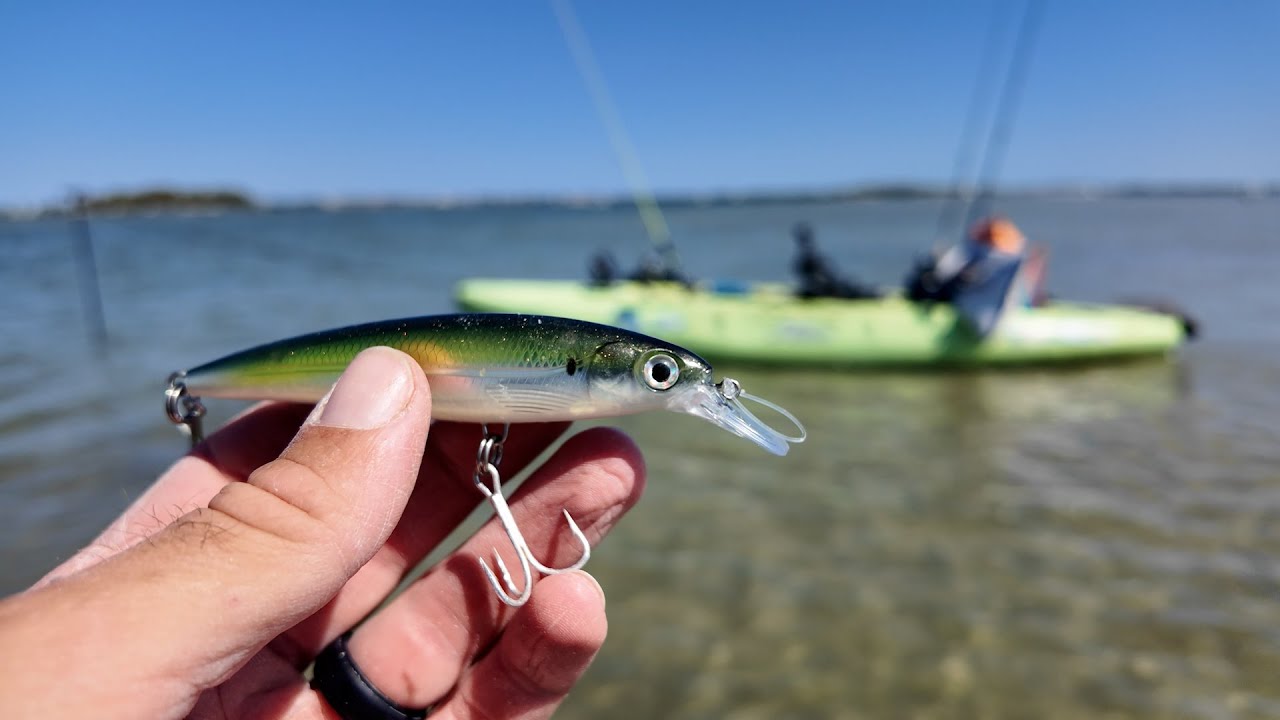 MULTI-Species Slay FEST!! SNOOK, BONEFISH, POMPANO, BARACUDA, AND MORE!! Kayak Fishing South Florida
