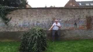 Cécémel Vs Cetelem