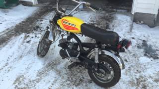 1972 Harley Davidson Aermacchi MC-65 Shortster Original Paint Kickstart