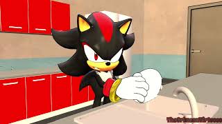 Sonic Shenanigans: Visitor
