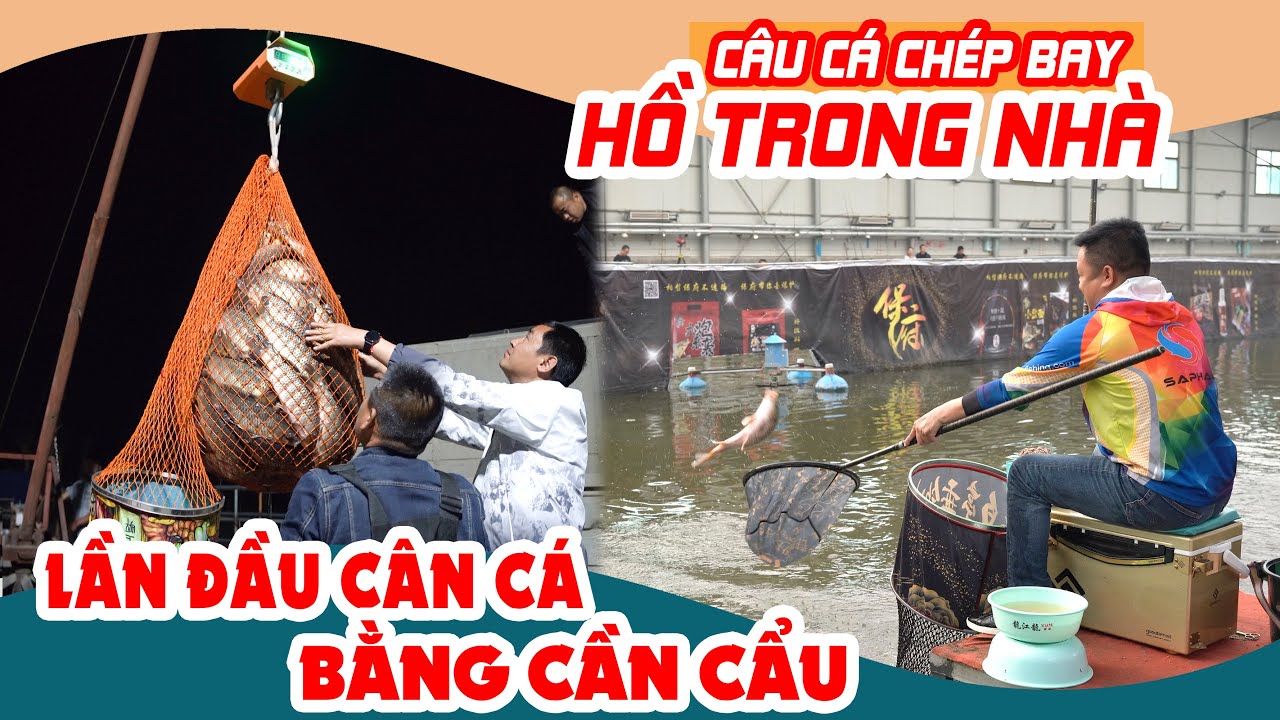 Câu cá chép bay hồ trong nhà - Lần đầu cân cá bằng cần cẩu