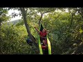 Overnight hammock 70ft up