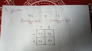 LAW OF DOMINANCE BY USING MONOHYBRID CROSS|| BY PHANINDRA GUPTHA