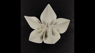 Stop Motion Animation Origami Carmbola 5 Petaled Flower