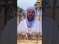 الشاعر شعبان بن حمد الجزائر تونس الوادي الامارات السعودية ورقلة ليبيا دوز وادي_سوف mp3