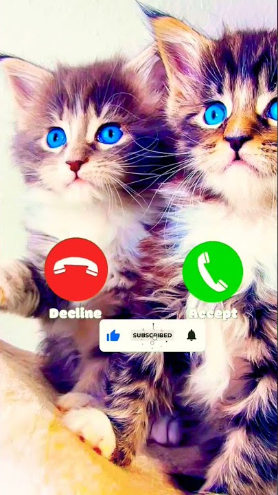 Abe Yaar ringtone notification ringtone message ringtone YouTube ringtone Short #abeyaar #shortvideo