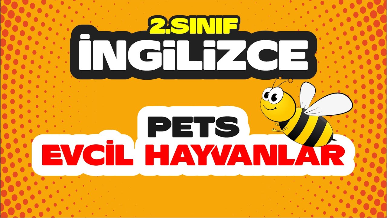 ⁣İlkokul 2.Sınıf | İngilizce | »Pets-Evcil Hayvanlar« Uzaktan Eğitim