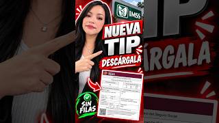 2026 Digital TIP IMSS: How to Download it STEP BY STEP from the IMSS Mailbox