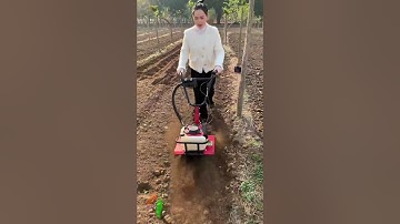 Nông nghiệp công nghệ cao, Tự động hóa trong sản xuất nông nghiệp