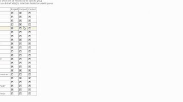 Extra fields in qdPM Extended 3.0 Project Management